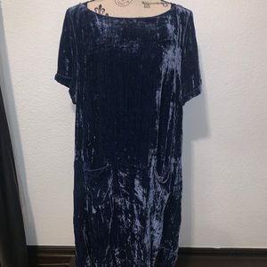 Floreat Crushed Velvet Shift Dress